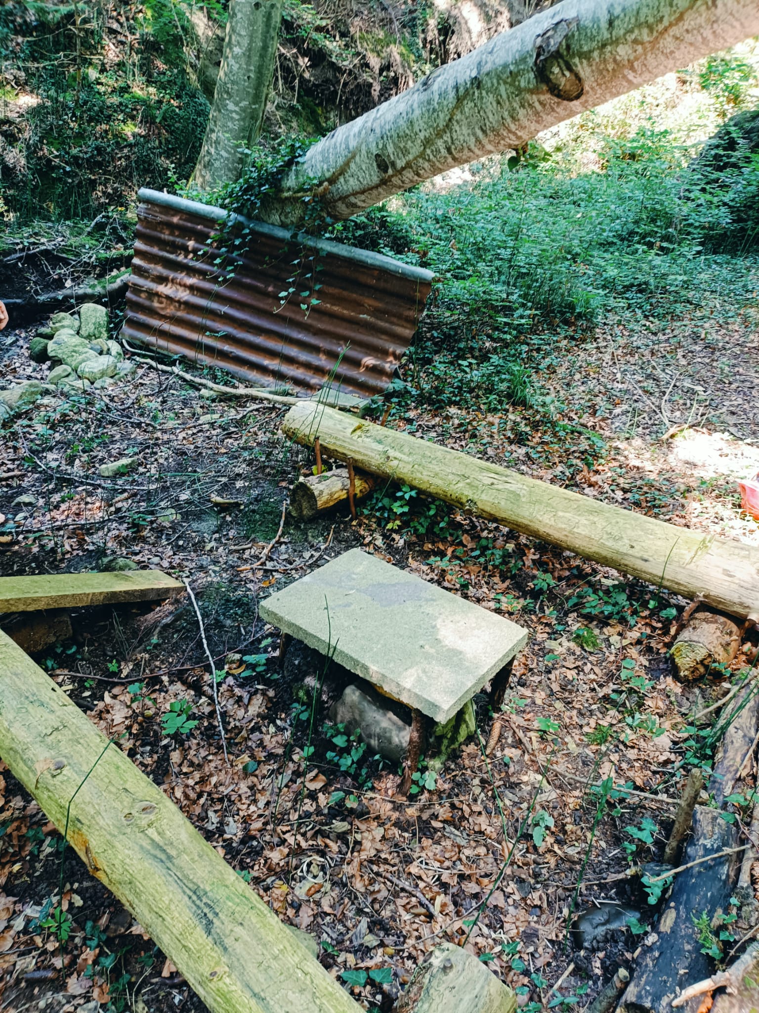 Wald und Hütte